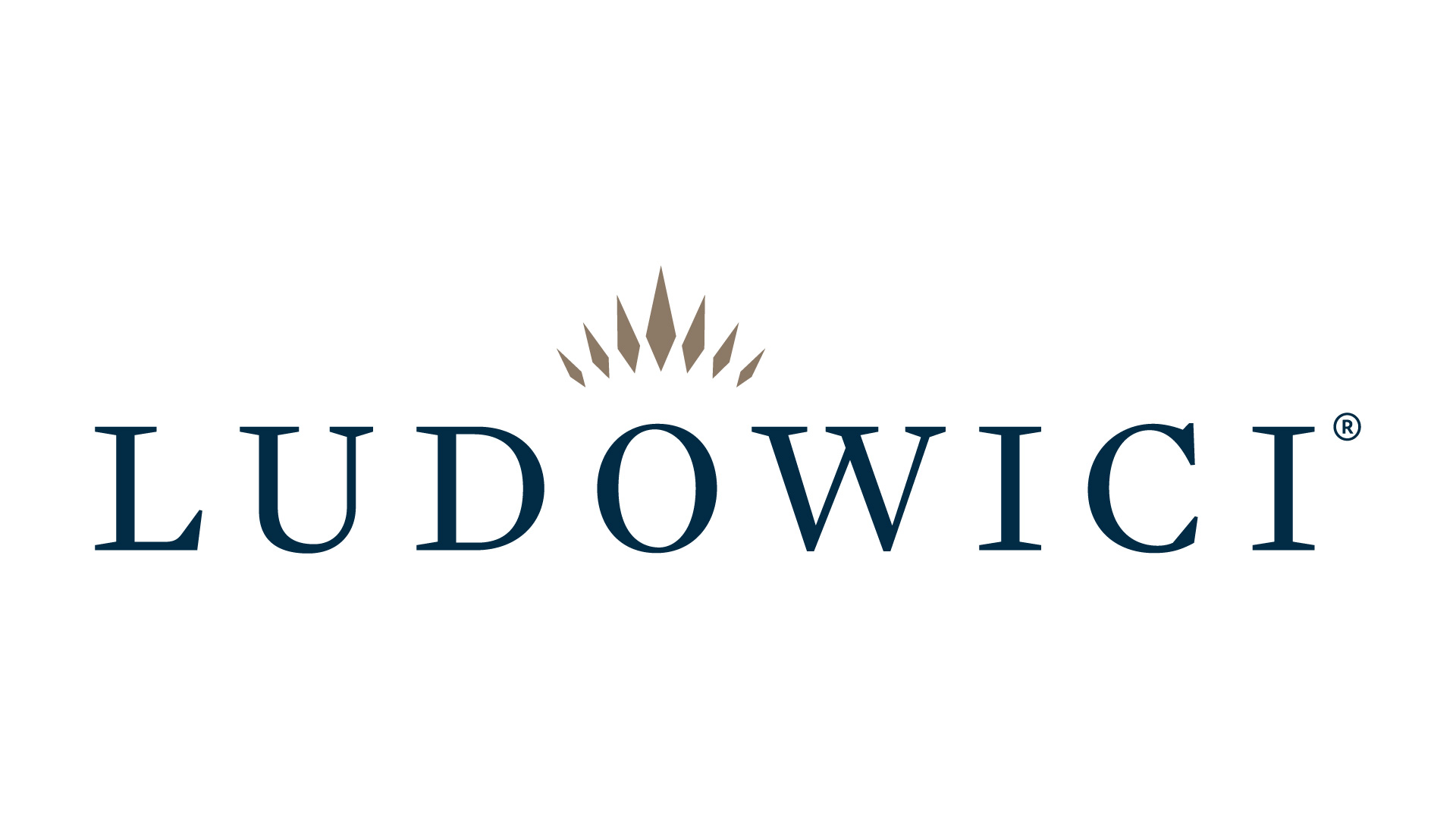 Ludowici